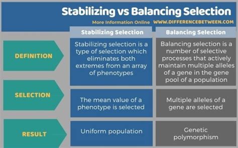 Balancing Selection And Stabilizing Selection
