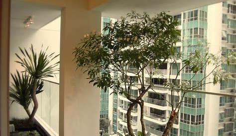 Steal balcony garden design ideas from the Singapore