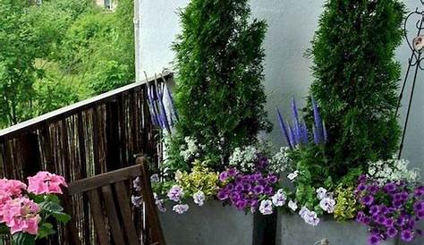 Balcony Garden Ideas Pinterest Impressive And Practical Tips