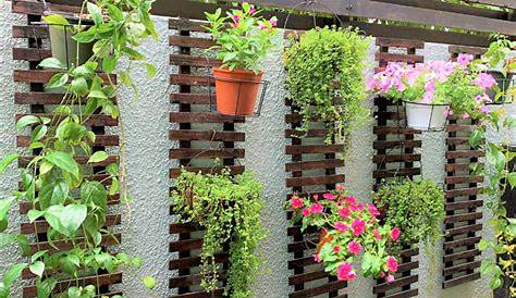 Balcony Vegetable Garden Ideas India 20 Beautiful n ! • ing