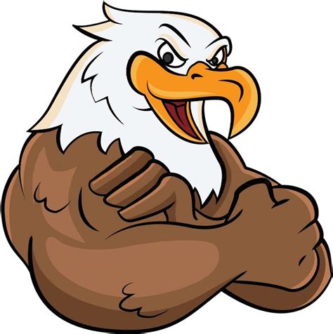 bald eagle cartoon png