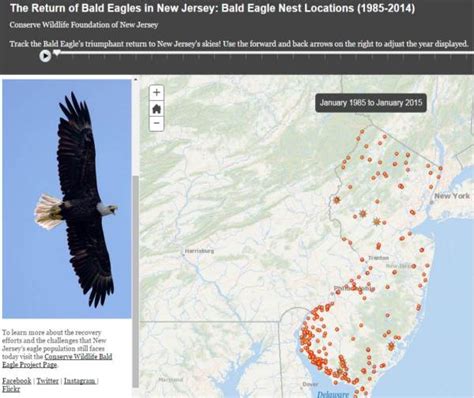 bald eagle nest locations nj