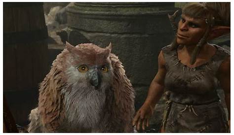 Baldur's Gate 3: How To Get The Owlbear Cub Companion | Secret Pet