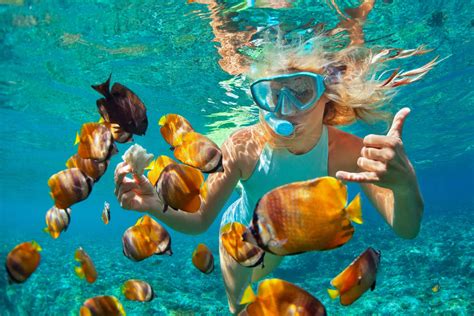 bali snorkeling