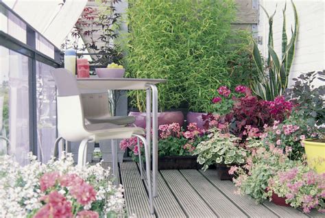 Balkon Vaste Planten