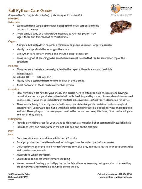 Ball Python Care Sheet Pdf