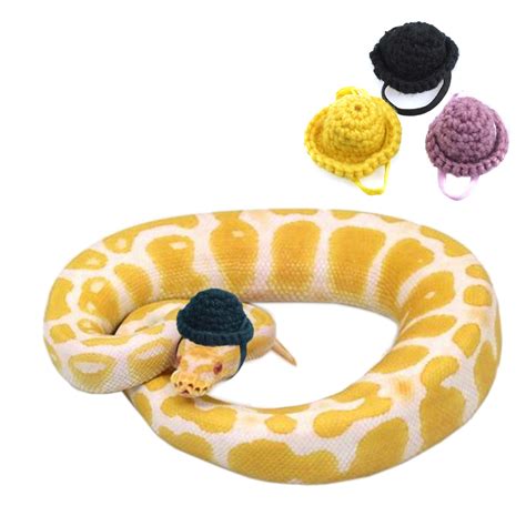 Ball Python Hat