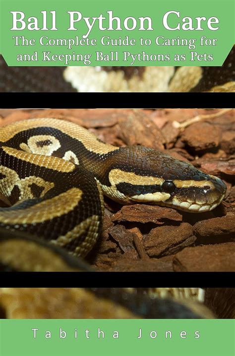 Ball Python Keeping