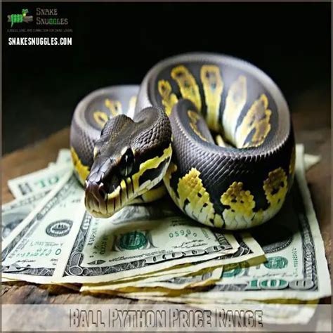 Ball Python Price Range