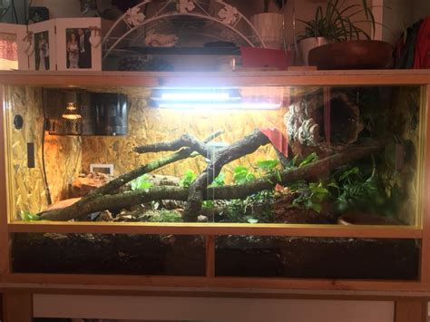 Ball Python Terrarium Size
