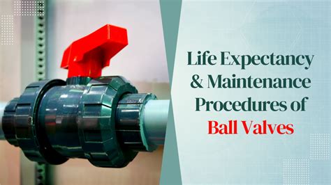 Ball Valve Maintenance Procedure