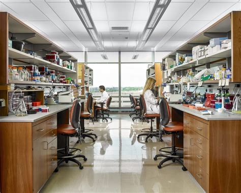 Ballinger Veterinary