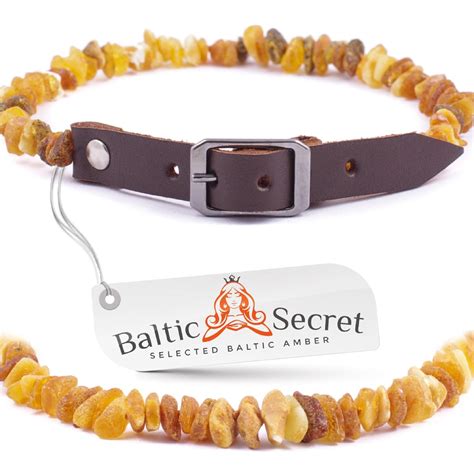 baltic amber dog collar