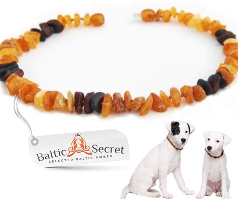 baltic amber necklace for dogs