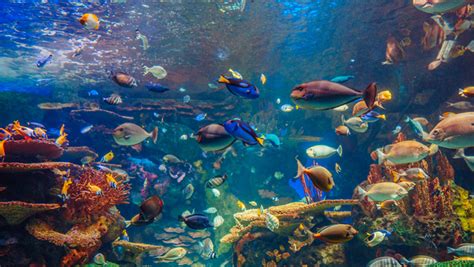 baltimore aquarium group rates