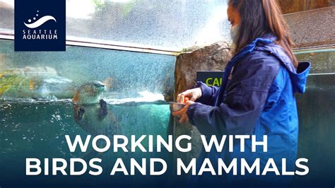 baltimore aquarium jobs