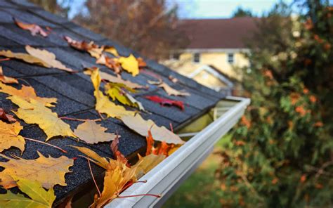 baltimore best roofing services in fall