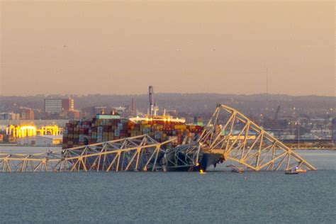 baltimore bridge collapse ship company