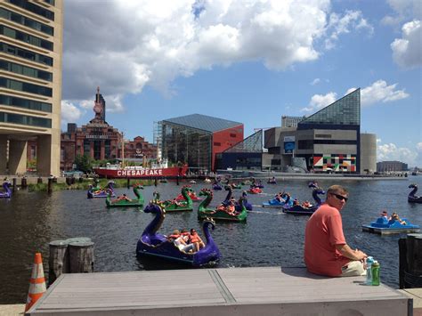 baltimore inner harbor events today