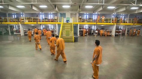baltimore prison inmate search