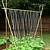 bamboo climbing frame for plants