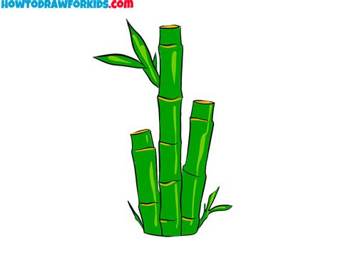 Bamboo Easy Drawing