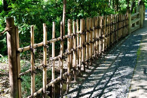 bamboo fence