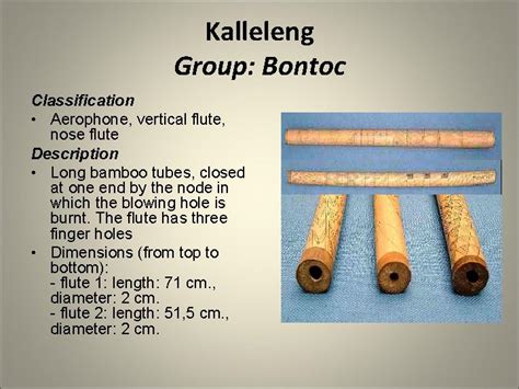 Bamboo Instruments Classification