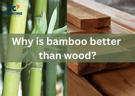 Bamboo Is Better