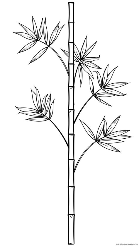bamboo leaf coloring pages