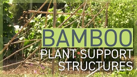 Bamboo Plant Support Structures