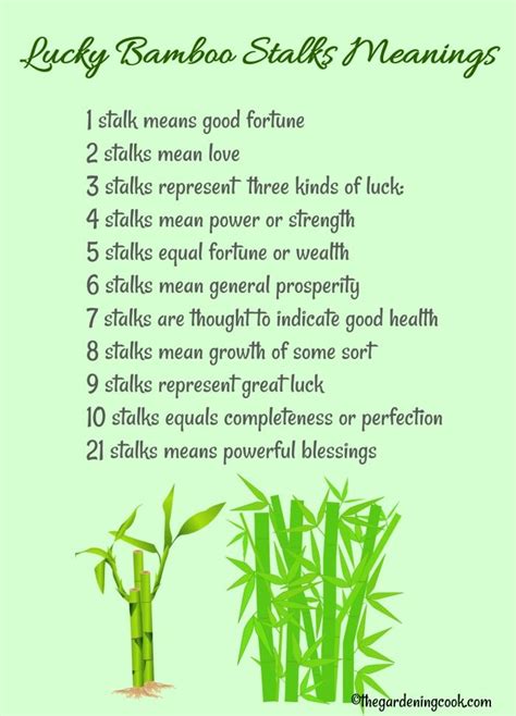 bamboo plants meaning