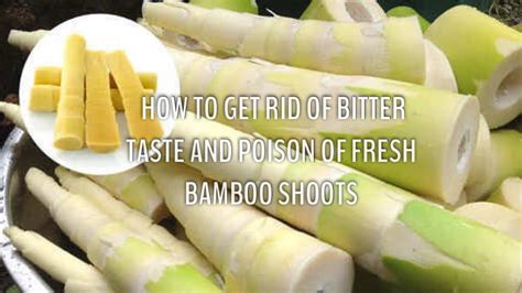 Bamboo Shoots Taste Bad