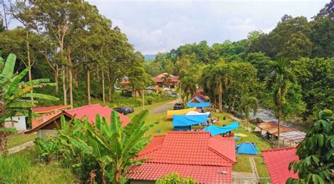 Bamboocamp: Ang Perpektong Tambayan para sa Pagtuklas ng mga Lihim ng Kagubatan