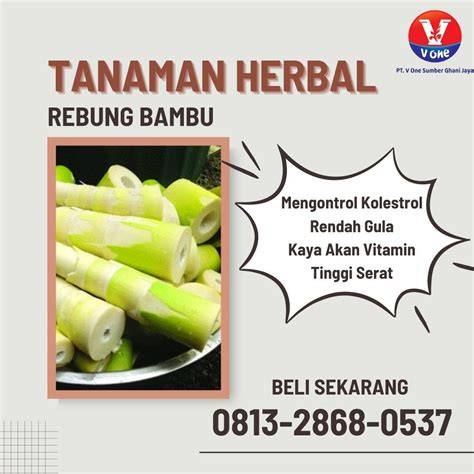 Bambu untuk Obat Herbal