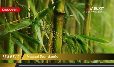 Bambu untuk Manfaat Lainnya