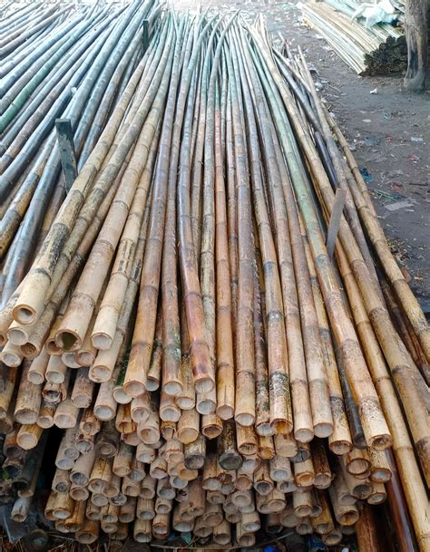 Bambu sebagai Bahan Bakar dan Sumber Energi