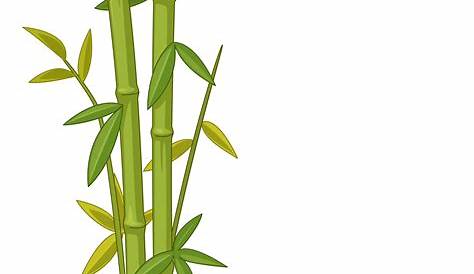 Bambus Clipart Grüne PNG Bild Und Zum