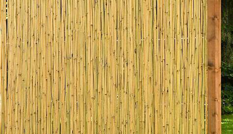 Garten Sichtschutz Bambus Genial Stabile Blickdichte