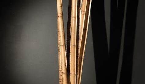 50 x Bambusstäbe, Rankhilfe, Bambusstangen 105cm
