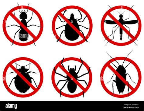ban a bug pest control