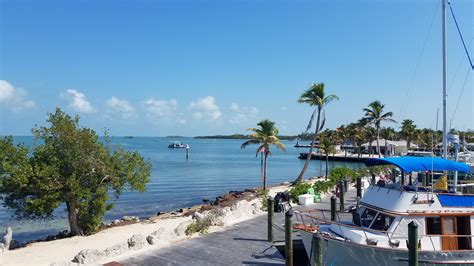 banana bay resort and marina marathon florida