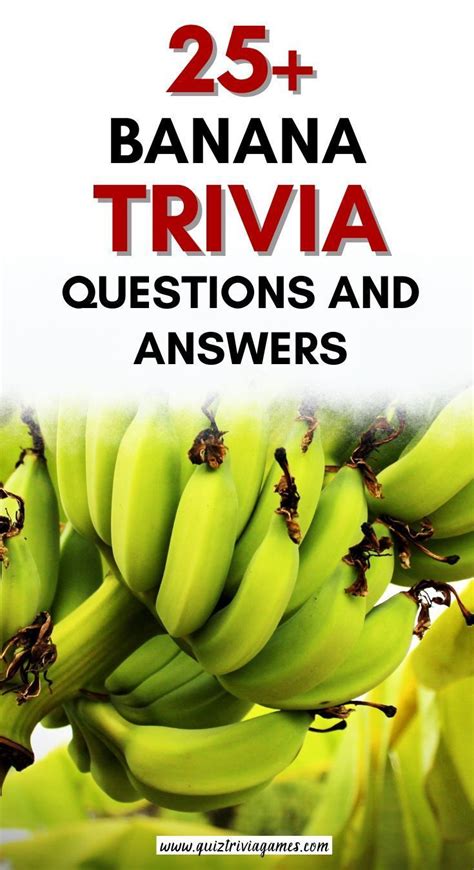 Banana Tree Fruiting Time Fruit Trees