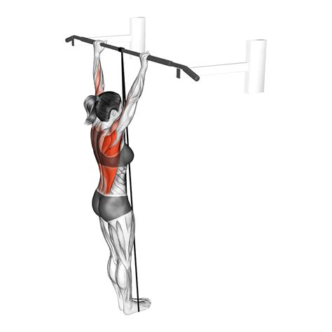 banded pull ups vs pull up machine