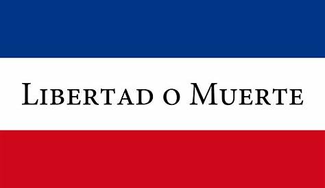 Bandera De Los Treinta Y Tres Orientales 100 X 60 Cm Calidad | Cuotas