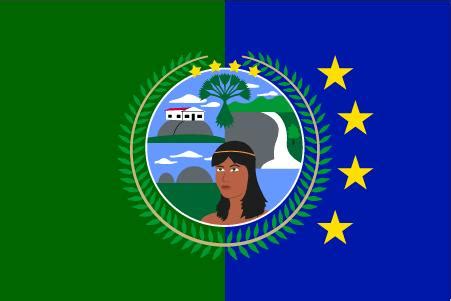 bandera de puerto ayacucho