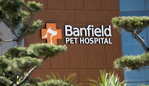 Banfield Pet Hospital announces executive hire - The Columbian