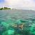 bangka belitung islands snorkeling