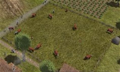 banished cattle pasture size