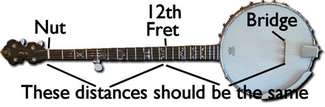 Banjo Bridge Position